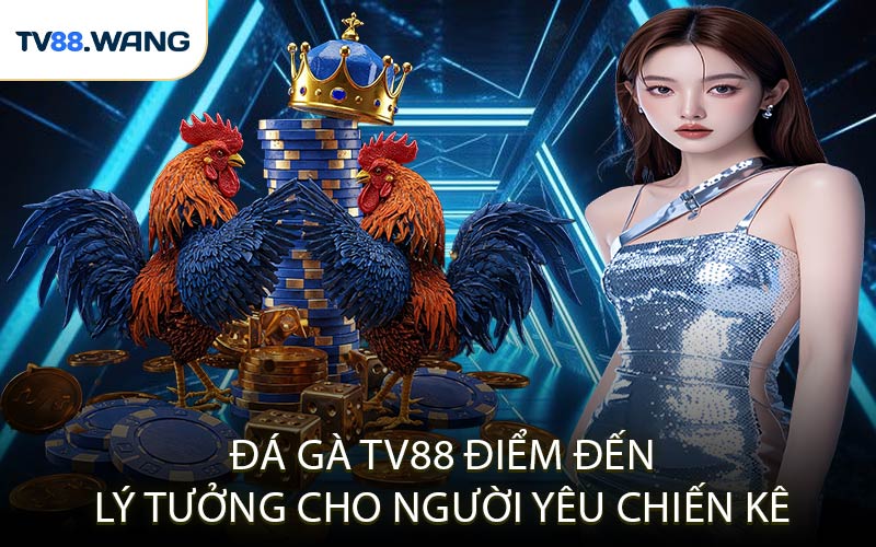 Đá Gà TV88 - Điểm Đến Lý Tưởng Cho Người Yêu Chiến Kê