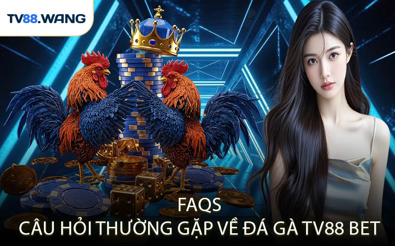 FAQs - Câu Hỏi Thường Gặp Về Đá Gà TV88 Bet